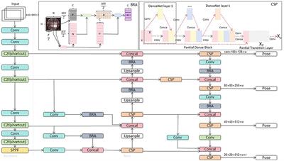 The application prospects of robot pose estimation technology: exploring new directions based on YOLOv8-ApexNet